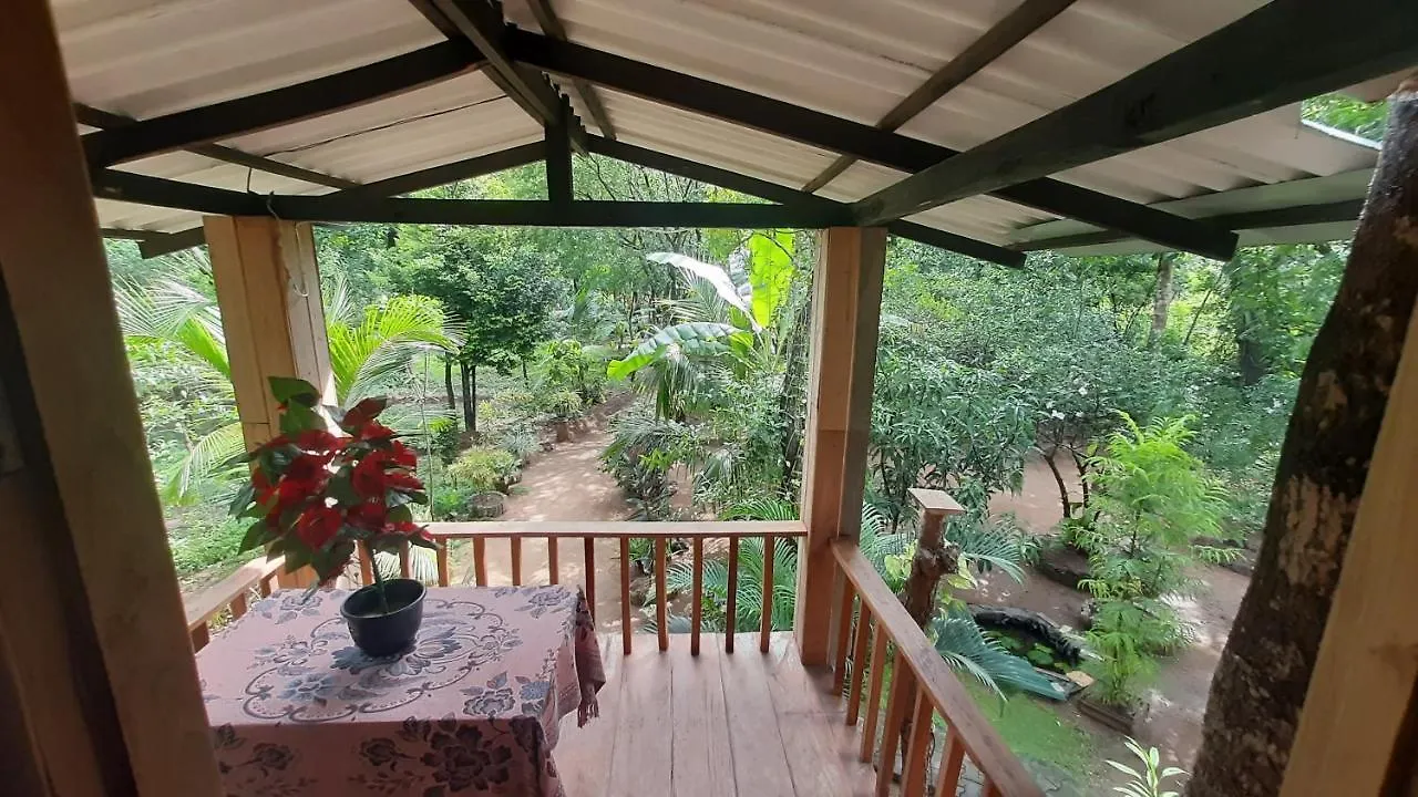 Apartment Ruk Sewana Villa Tree House Sigiriya Sri Lanka