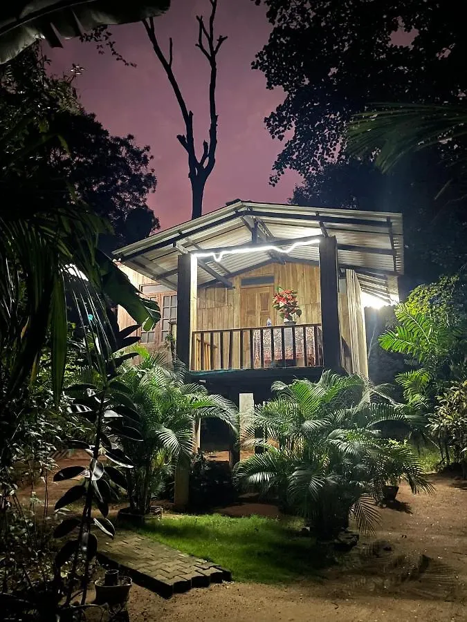 Ruk Sewana Villa Tree House Sigiriya