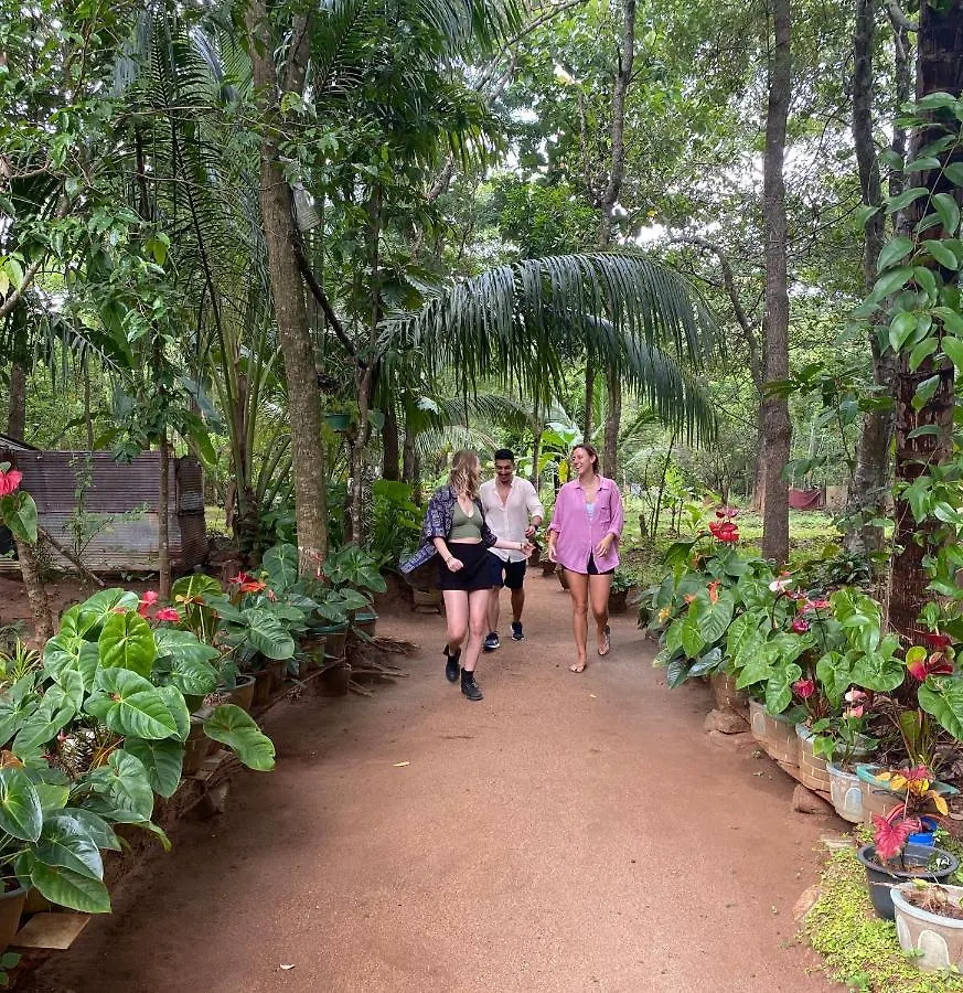 Ruk Sewana Villa Tree House Sigiriya 0*,