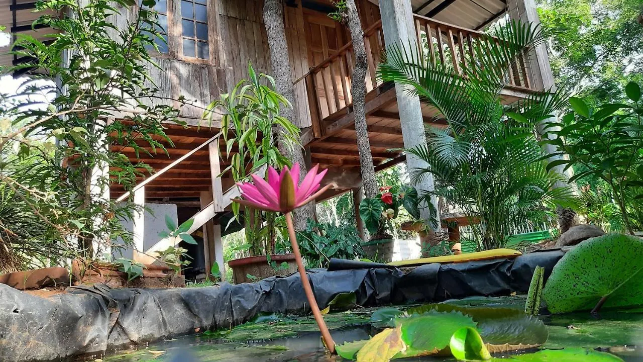 Apartment Ruk Sewana Villa Tree House Sigiriya