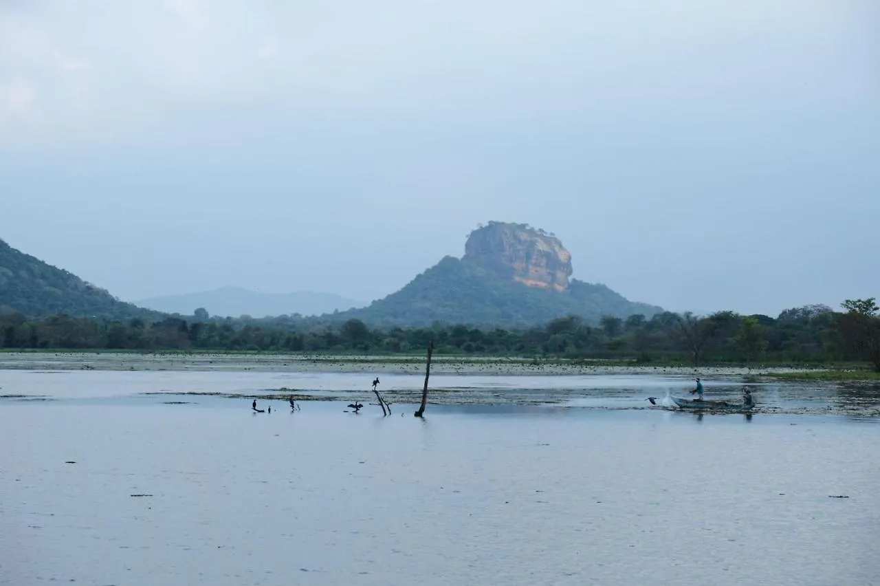 Ruk Sewana Villa Tree House Sigiriya Sri Lanka