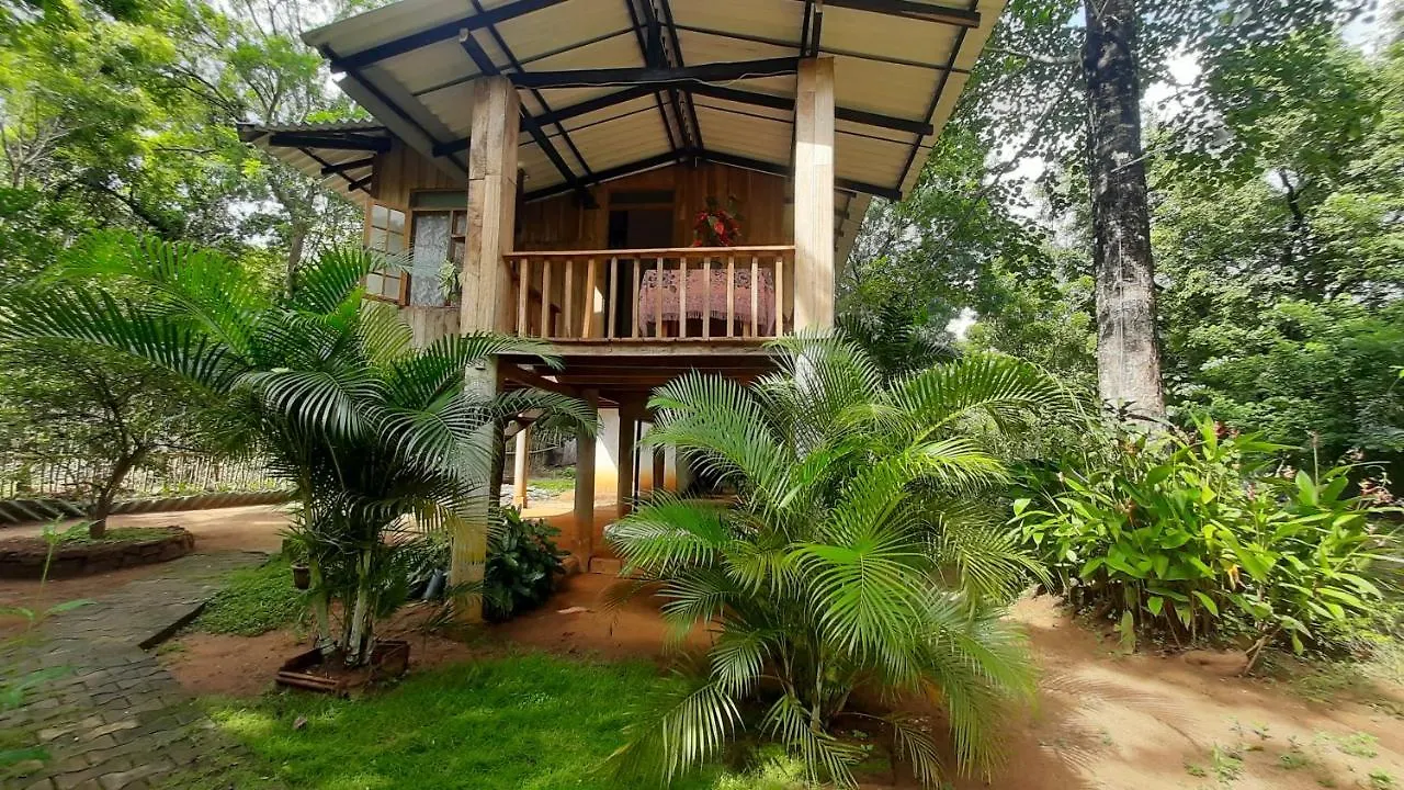 Apartment Ruk Sewana Villa Tree House Sigiriya Sri Lanka