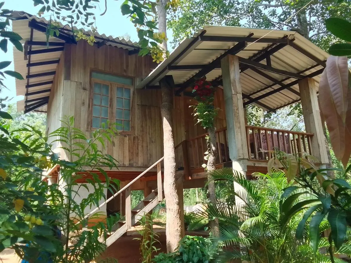 Apartment Ruk Sewana Villa Tree House Sigiriya